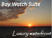 baywatch suite banner